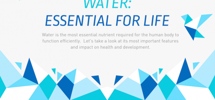 WATER INFOGRAPHIC