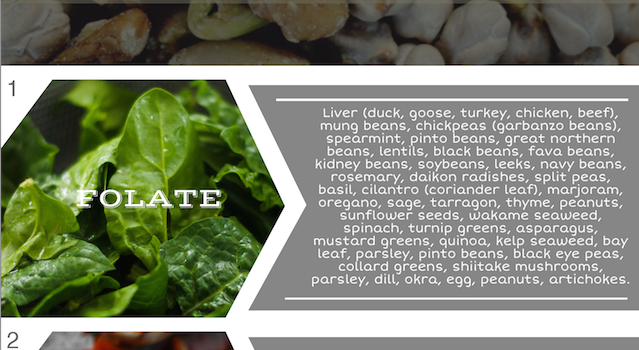 METHYLATION INFOGRAPHIC